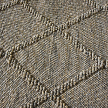 Area Rug, Bedroom Rug, Living Room Rug, Living Area Rug, Indian Rug, Office Carpet, Office Rug, Shop Rug Online, Pet, Sisal, Pitloom, All Loop, Modern