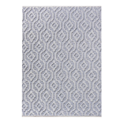 Area Rug, Bedroom Rug, Living Room Rug, Living Area Rug, Indian Rug, Office Carpet, Office Rug, Shop Rug Online, Pet, Blue, Pitloom, All Loop, Modern